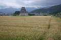 勝山城博物館と田園