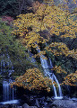 秋の川俣東沢渓谷 吐竜の滝