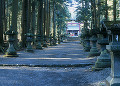 口本宮冨士浅間神社 参道と鳥居