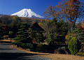 鱒の家 庭園と富士山