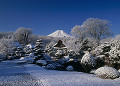 冬の鱒の家 庭園と富士山