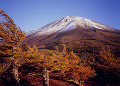 富士スバルラインから紅葉と富士山