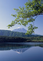 西湖と富士山