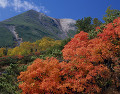 乗鞍高原の紅葉