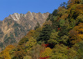 鳴沢岳の紅葉