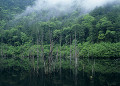 自然湖 長野県王滝村