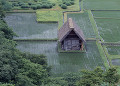 合掌造りの建物と水田