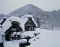 白川郷合掌造り集落