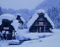 白川郷合掌造り集落