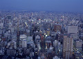 名古屋市街の夜景