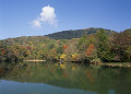 茶臼山高原の紅葉