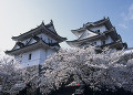 伊賀上野城と桜