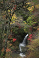 高野大滝と紅葉