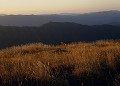 生石高原の夕景