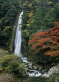 宝竜滝と紅葉