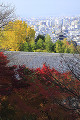 霊山護国神社の展望台から京都市街と紅葉