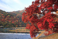 嵐山  渡月橋と紅葉