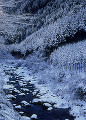 清滝川の雪景色