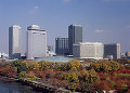 大阪ビジネスパークと紅葉