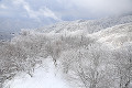 金剛山の霧氷