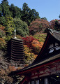 紅葉　談山神社