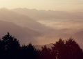 雲海　鳥見山公園