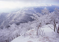 樹氷　高見山