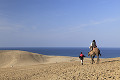 鳥取砂丘とラクダ