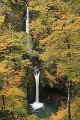 紅葉と大山滝