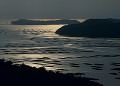 虫明湾