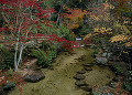 紅葉谷公園の紅葉