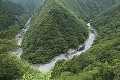 祖谷渓  緑の山並み