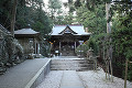 太龍寺  大師堂と樹木