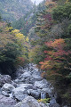 釜ヶ谷峡の紅葉