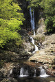 菅生の滝と緑