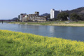 筑後川と原鶴温泉街の町並み