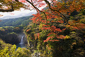 鮎返の滝と紅葉