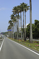 日南海岸ロードパーク