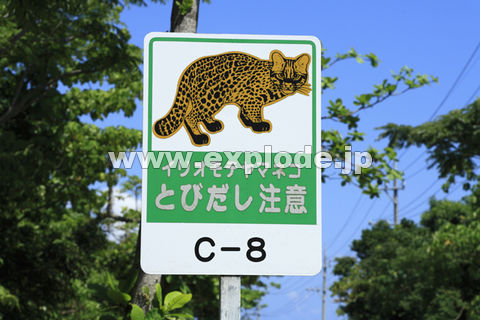 CIe}lRяoӂ̕W