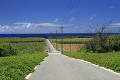 波照間島の道路