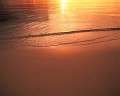 モルジブ 海