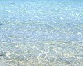 タヒチ 海