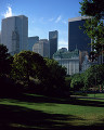 ニューヨーク 青空 セントラルパーク 木 高層ビル 公園 木陰