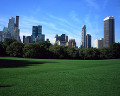 ニューヨーク 青空 セントラルパーク 木 高層ビル 公園 木陰