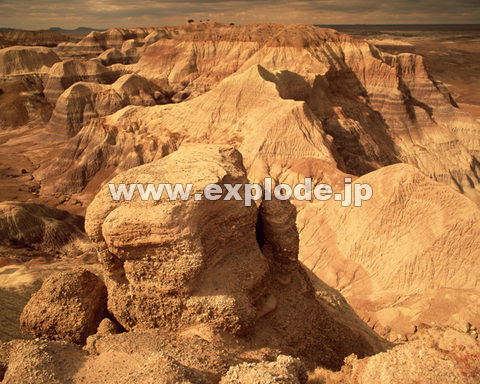 �k�� �A�����J�̍��� �s�т̒n �n���� �_