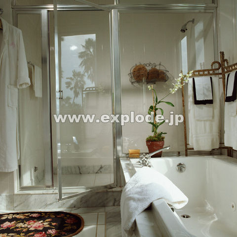 部屋 観葉植物 バス 浴室 タオル ガラス Int Jpg 写真素材