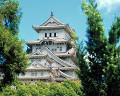 ００９：兵庫県　建物　姫路城　青空　樹木