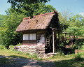 ０３５：岐阜県　建物　白川郷　家　藁葺き屋根　水車　森林
