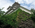 ０６４：福島県　建物　会津若松城　鶴ケ城　天守閣　空