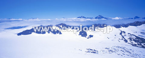 OPFAXJ Kenai Fjord Glacier